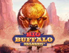 game logo by Skywind Group on spinjo.eu