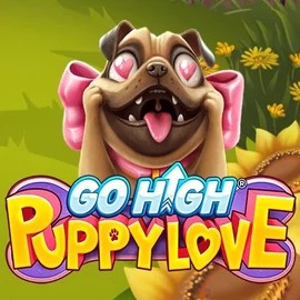 game logo by RubyPlay on spinjo.eu